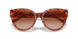577413 - Tortoise - Brown Gradient