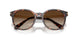 300613 - Tortoise - Smoke Gradient