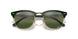 1368G4 - Green - Silver/green