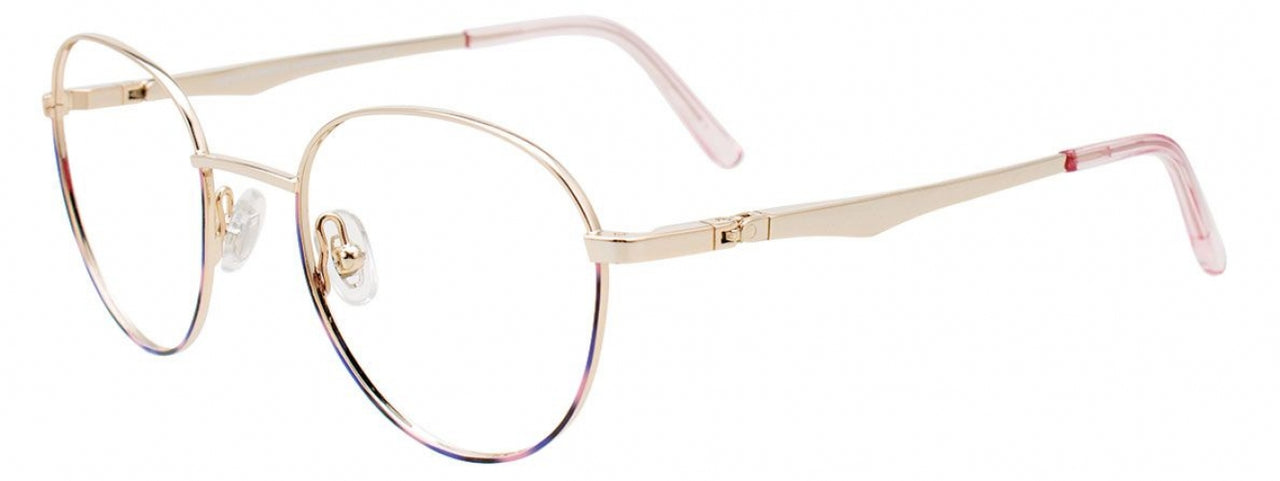 10 - Shiny Gold & Pink Tortoise