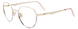 10 - Shiny Gold & Pink Tortoise