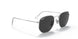 920948 - Silver - Polar Black