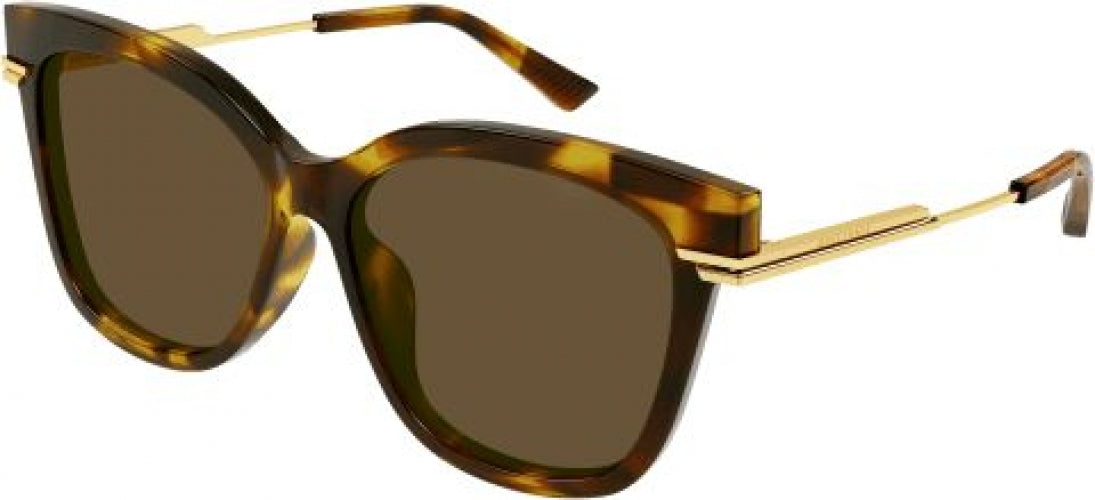002 - Havana/Gold - Brown
