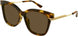 002 - Havana/Gold - Brown