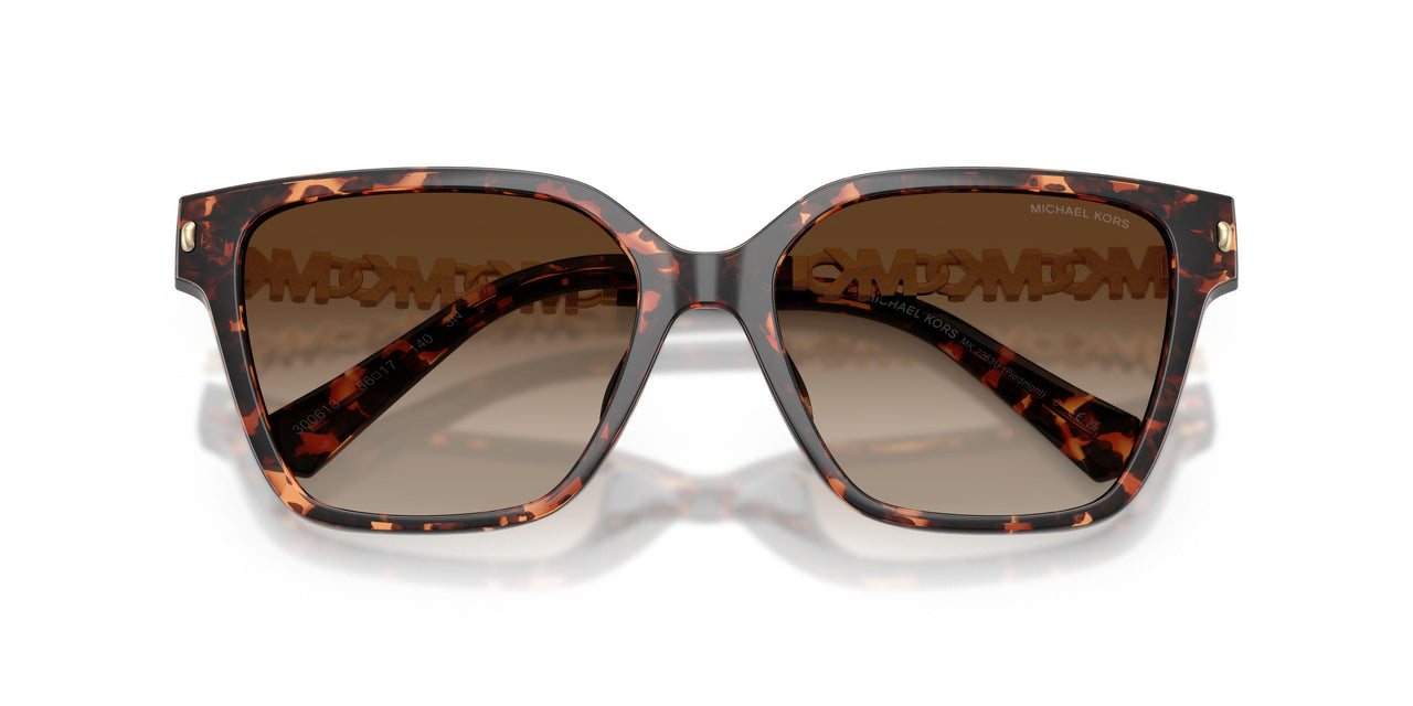 300613 - Tortoise - Smoke Gradient
