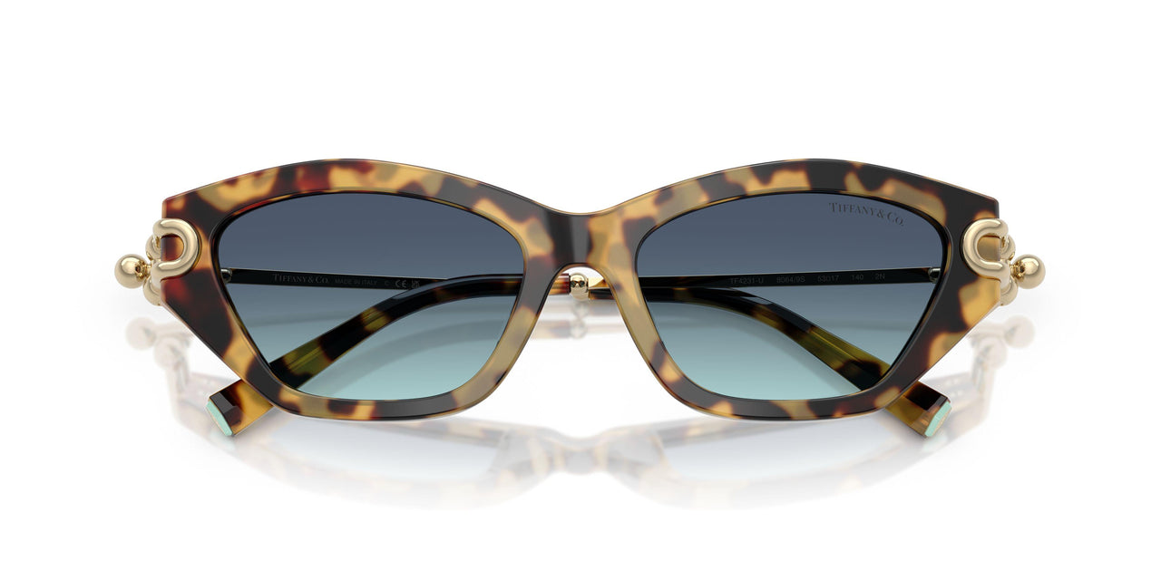 80649S - Tortoise - Azure Gradient Blue
