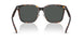 710/87 - Tortoise - Dark Grey