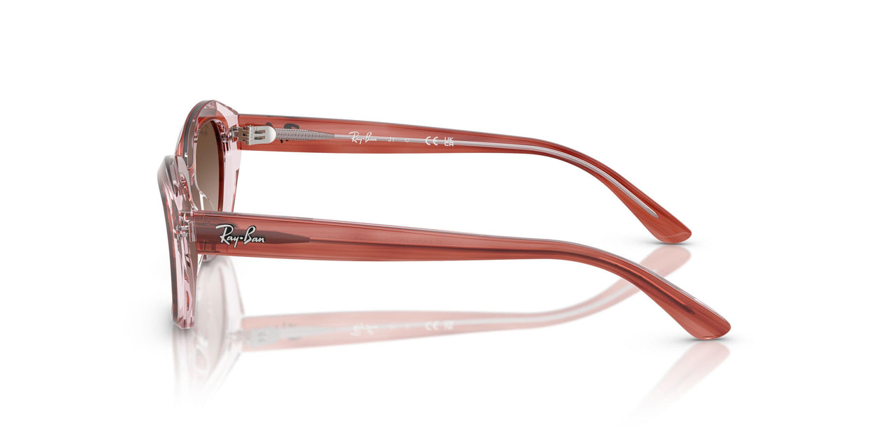 717313 - Pink - Gradient Brown