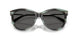 8443S4 - Tortoise - Dark Grey