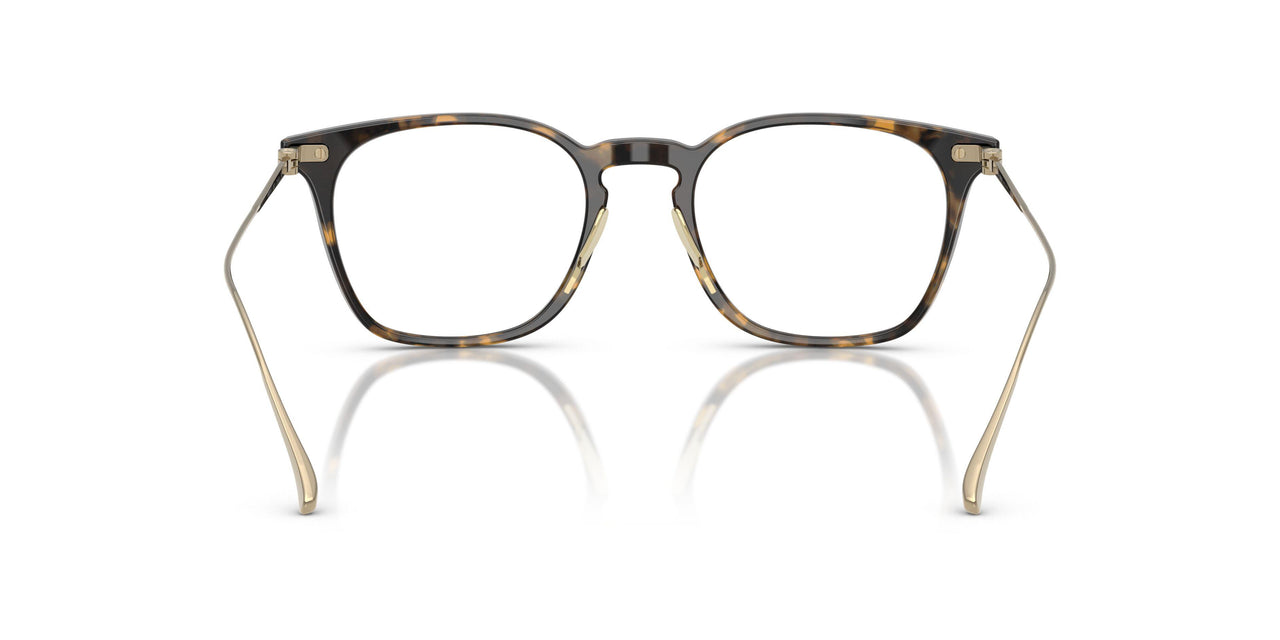 6207 - Tortoise