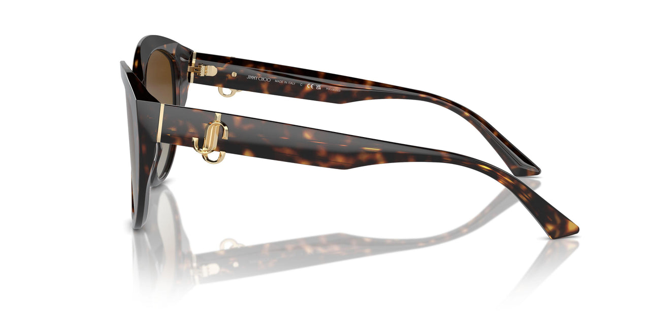 5002T5 - Tortoise - Polarized Gradient Brown