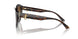 5002T5 - Tortoise - Polarized Gradient Brown
