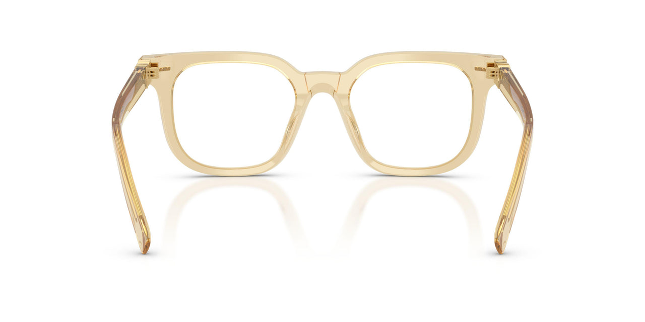11T1O1 - Brown