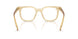11T1O1 - Brown