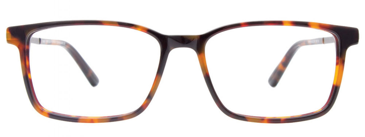 10 - Tortoise & Light Brown/Light Brown & Tortoise