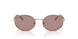 24E20I - Brown - Light Purple Brown