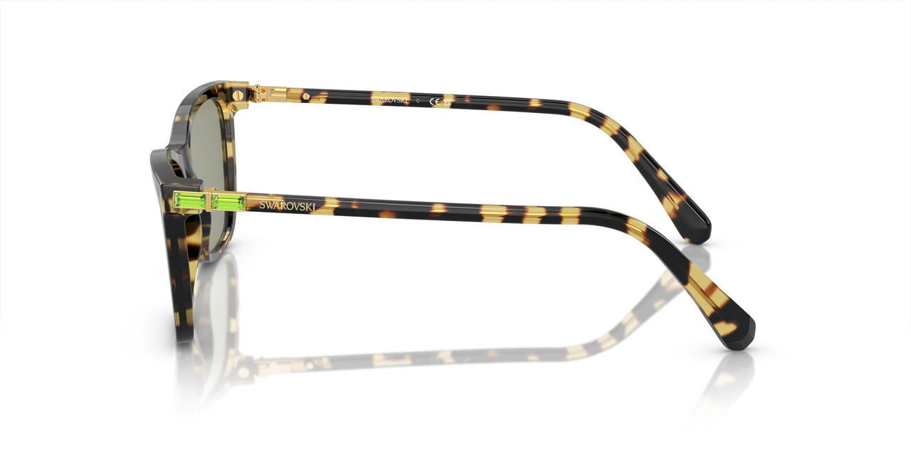 1009/2 - Tortoise - Dark Green