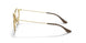 2905 - Brown