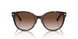 80153B - Tortoise - Brown Gradient