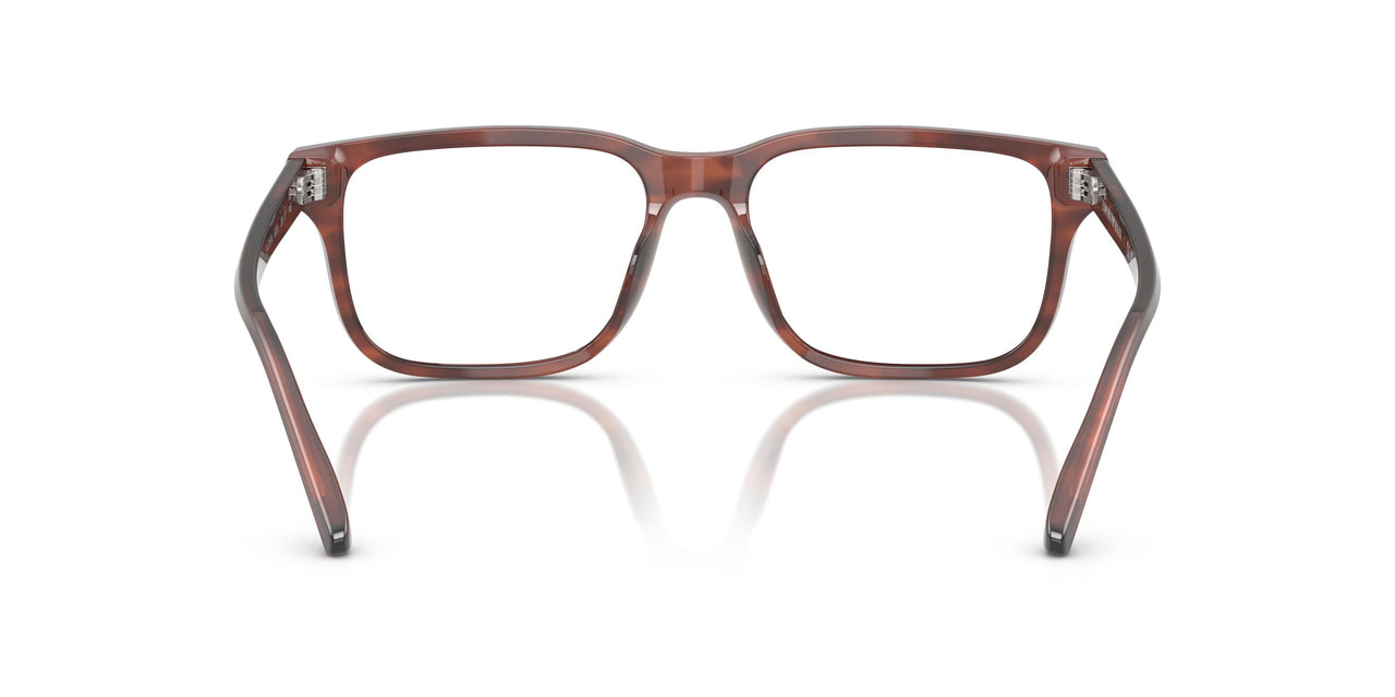 6203 - Brown