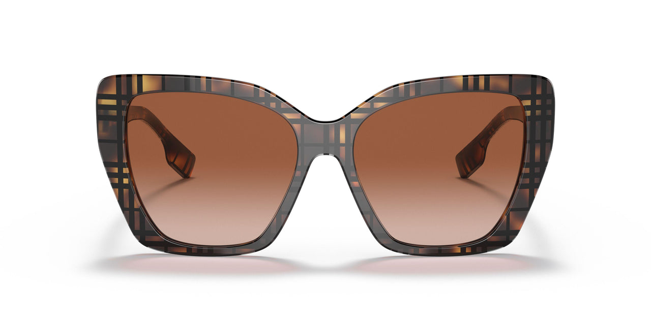 398213 - Brown - Brown Gradient