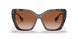 398213 - Brown - Brown Gradient