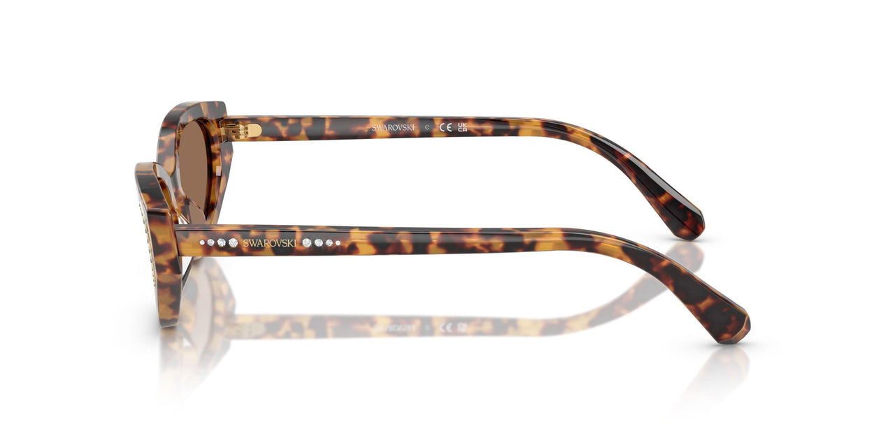 104073 - Tortoise - Dark Brown