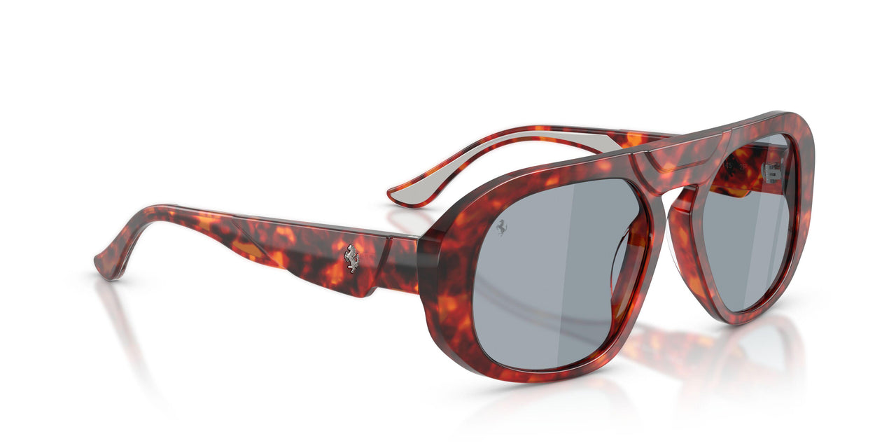 734/S2 - Tortoise - Polar Blue