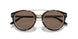 50025W - Tortoise - Brown