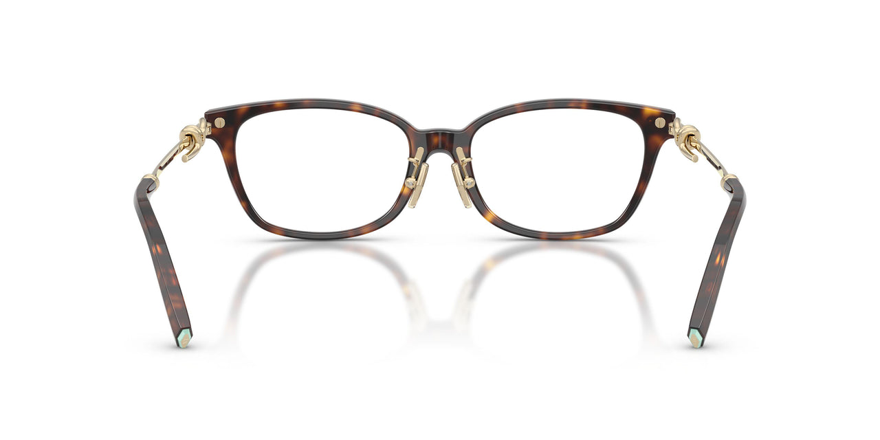 8015 - Tortoise