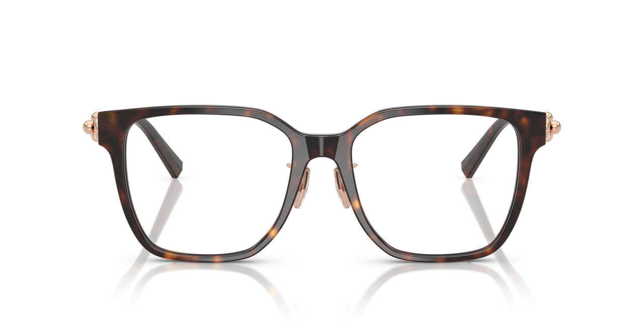8015 - Tortoise
