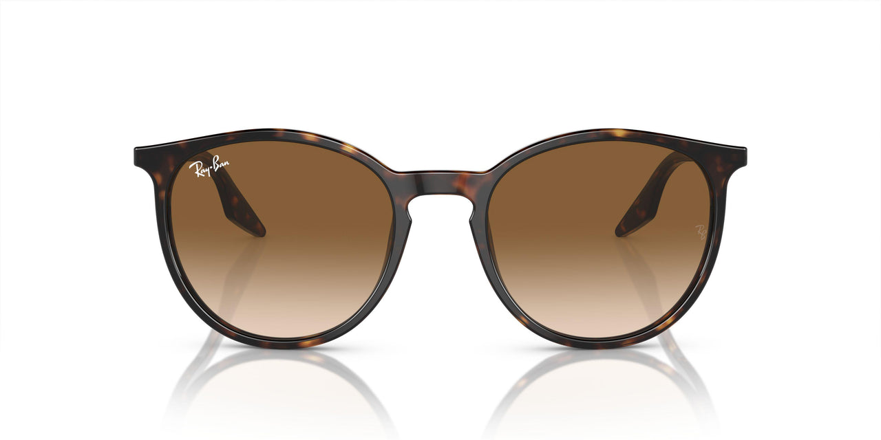 902/51 - Tortoise - Light Brown