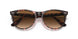 12934E - Light Havana On Trasp Yellow - Bottle Green