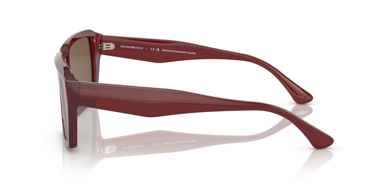 507573 - Red - Dark Brown