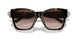80153B - Tortoise - Brown Gradient