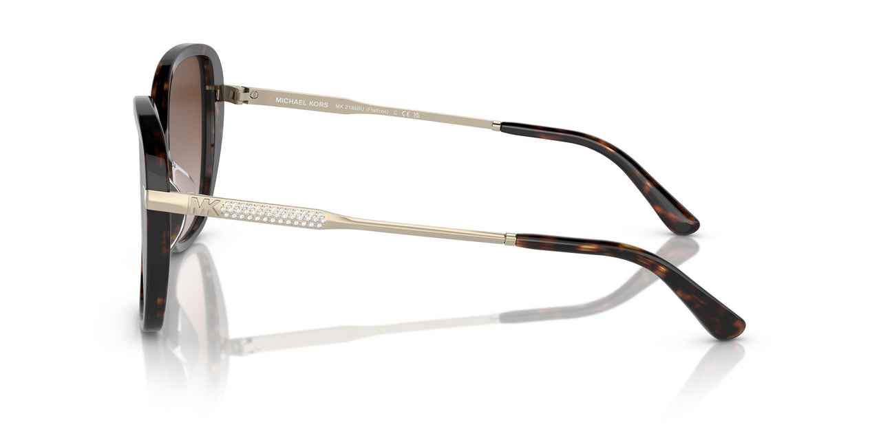 300613 - Tortoise - Brown Gradient