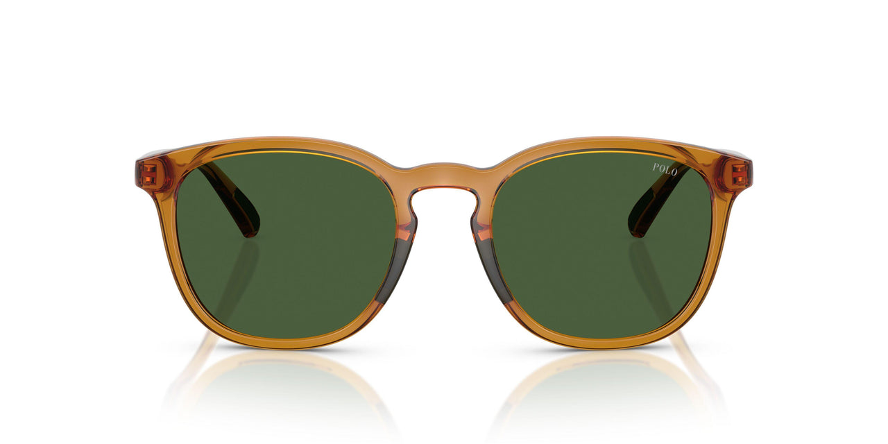 620971 - Yellow - Bottle Green