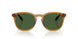 620971 - Yellow - Bottle Green