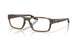 802304 - Tortoise