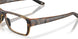 802304 - Tortoise