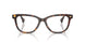 5003 - Tortoise