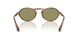 616314 - Tortoise - Green