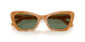 593982 - Tortoise - Green Solid