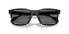 500281 - Black - Grey Solid Polar