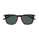 002 - Havana/Gold - Green