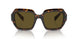 14L09Z - Green - Dark Brown