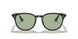 601/2 - Black - Light Green