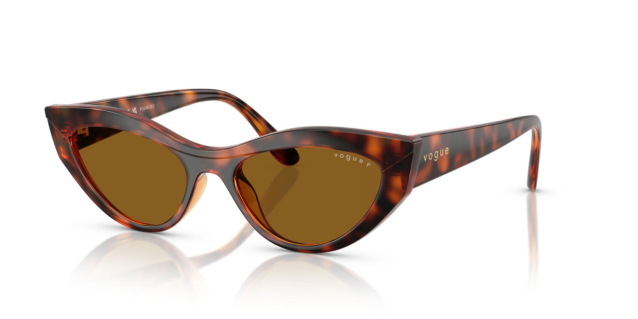 W65683 - Brown - Dark Brown Polar