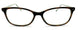 TT - Tortoise Aqua