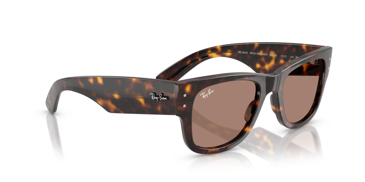 902/1A - Tortoise - Light Violet